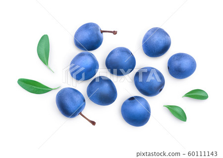 Blackthorn or Sloe berries with leaves isolated on white background. Prunus spinosa. Top view. Flat lay 60111143