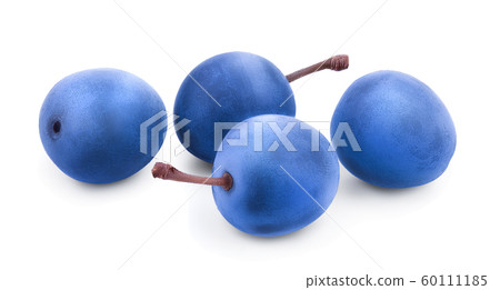 Blackthorn or Sloe berries isolated on white background. Prunus spinosa 60111185
