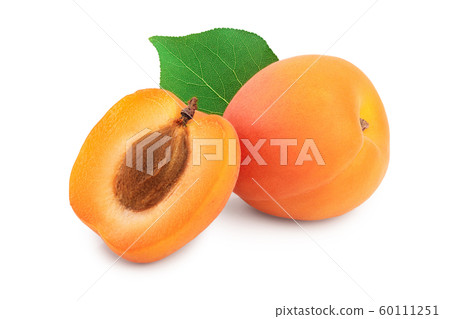 Apricot fruit isolated on white background macro Apricot fruit isolated on white background macro 60111251