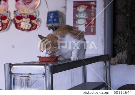 猴硐貓村 猴硐貓村 60111644