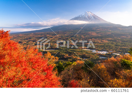 《Yamanashi Prefecture》Mt.Fuji and Koyodai in autumn 《Yamanashi Prefecture》Mt.Fuji and Koyodai in autumn 60111761