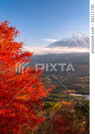《山梨縣》秋天的富士山和光代台 60111786