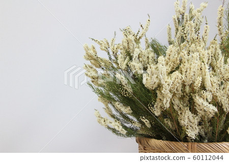 Tea tree (dry) Tea tree (dry) 60112044