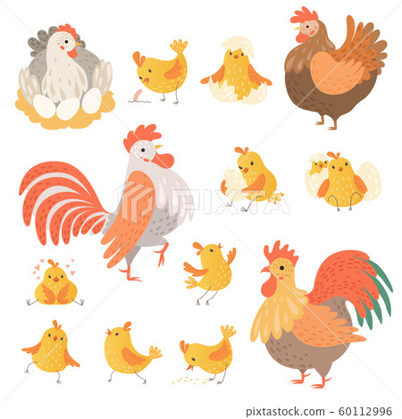 Chicken and rooster. Funny domestic farm animals birds eggs pollo vector cartoon characters 60112996