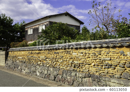 Townscape of Sakai, tiled earth and summer oranges (Sakai City, Yamaguchi Prefecture) 60113050
