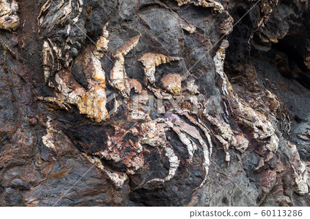 Detail of a rock in a former mine Detail of a rock in a former mine 60113286