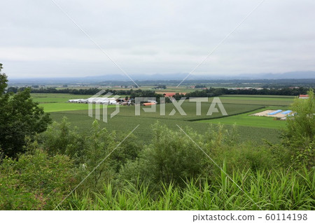 View from Biren Panorama Park 60114198