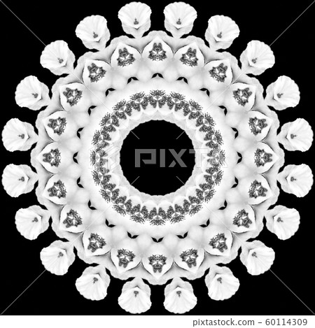 Floral kaleidoscopic pattern. Monochrome geometric ornament . Mandala . Abstract black and white background 60114309