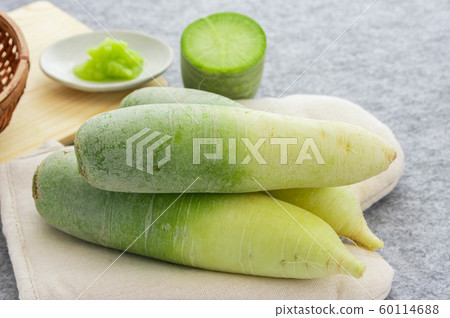 藍蘿蔔 60114688