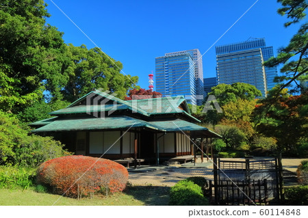 [東京] wa訪的茶館在晴朗的天空下 60114848