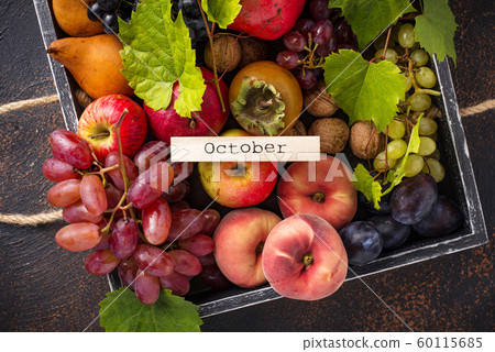 Various autumn fruits. Harvest concept Various autumn fruits. Harvest concept 60115685