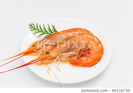 紅蝦 紅蝦 60116730