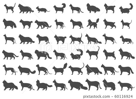 Cat breeds icon set flat style isolated on white. 60116924