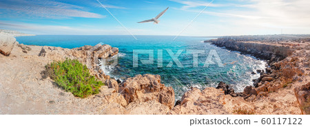 Cove with azure water at Cape Cavo Greco and seagull in sky Cove with azure water at Cape Cavo Greco and seagull in sky 60117122