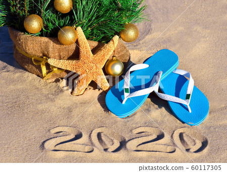 New Year 2020 on the beach. Christmas tree, New Year 2020 on the beach. Christmas tree, 60117305
