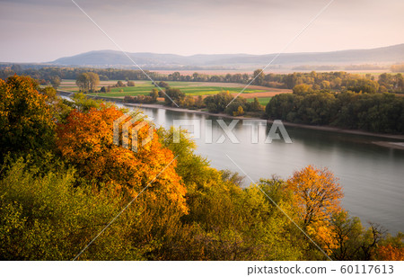 Autumn Landscape with River 60117613