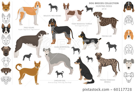 Hunting dogs collection isolated on white clipart. 60117728
