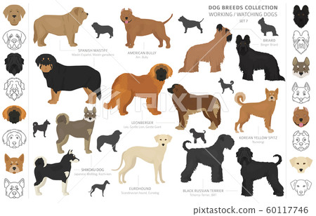Working, service and watching dogs collection Working, service and watching dogs collection 60117746