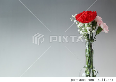 Bouquet of carnation and gypsophila 60119273