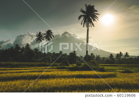 mayon volcano on luzon island philippines photo mayon volcano on luzon island philippines photo 60119606