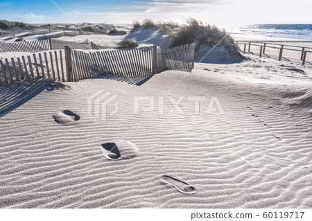 Sandy beach on the Atlantic coast near the town of Aveiro, Portugal Sandy beach on the Atlantic coast near the town of Aveiro, Portugal 60119717