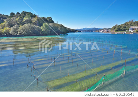 [Coast line of Ise-Shima National Park] Shimotsuura, Minami-Ise-cho, Mie Prefecture 60120545