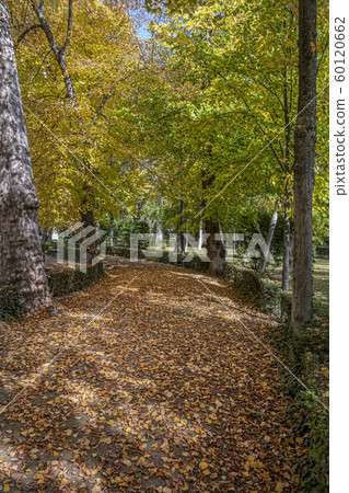 Autumnal path in the park of Aranjuez. Aranjuez. Autumnal path in the park of Aranjuez. Aranjuez. 60120662