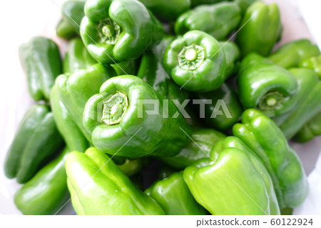 green pepper green pepper 60122924