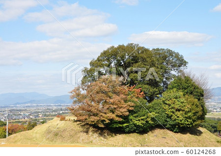 Tanushimaru Otsuka Tumulus (Fukuoka Prefecture Kurume-shi Tanushimaru) 60124268