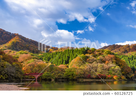 Usui lake of autumn leaves Usui lake of autumn leaves 60126725