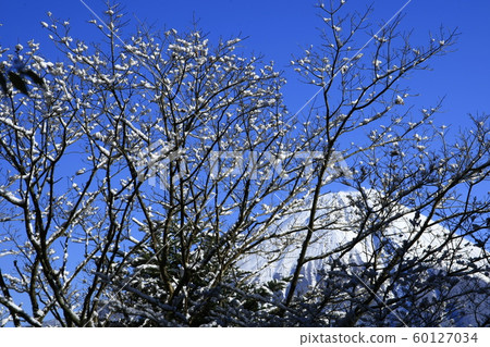 雪花和富士山 60127034