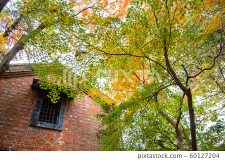 A public wall in the autumn of the Moroto garden in Kuwana, Mie Prefecture. 60127204