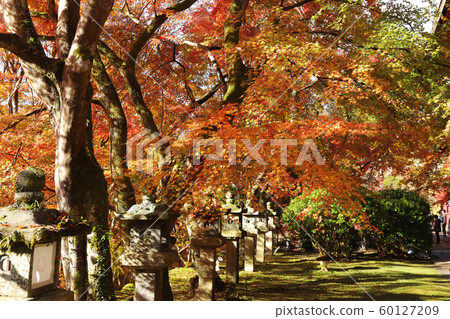 津山神社 津山神社 60127209