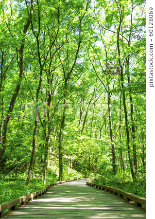 森林浴遠足 60128069
