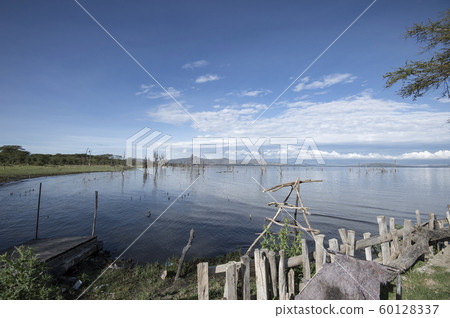 早晨的奈瓦沙湖 早晨的奈瓦沙湖 60128337