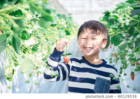 一個男孩用草莓與微笑 60129538