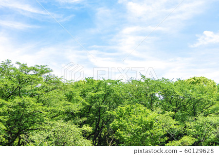 與綠色和藍天的風景 與綠色和藍天的風景 60129628