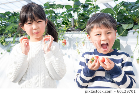 孩子用草莓帶著微笑 60129701