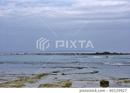 Winter coastline 60129927
