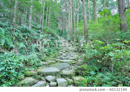 [Kumano Kodo Magoshi Pass] Aiga, Kihoku-cho, Hokuto-gun, Mie Prefecture 60132199