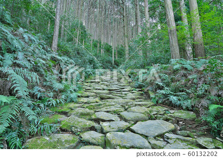 [熊野工道Mag口]三重縣北斗郡喜北町愛賀 60132202