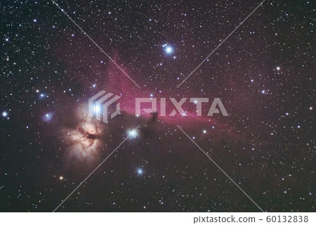 馬頭星雲 60132838