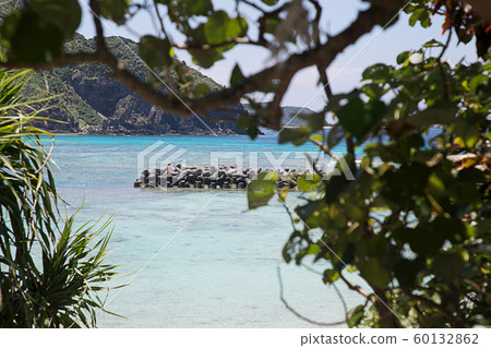 The sea over the trees The sea over the trees 60132862