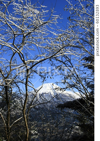 A snow flower A snow flower 60132893