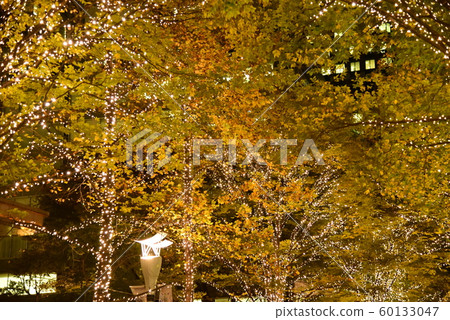 Marunouchi Illuminations 60133047