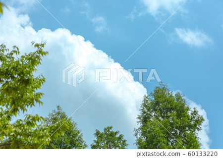 Cloud background, beautiful blue sky with white clouds 003 Cloud background, beautiful blue sky with white clouds 003 60133220