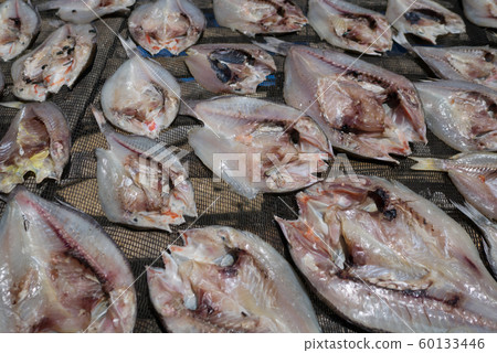 魚乾(竹莢魚開張) 魚乾(竹莢魚開張) 60133446