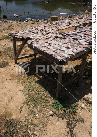 Dried fish (opening of horse mackerel) 60133453