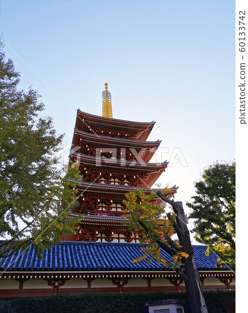 淺草寺的五層寶塔 60133742