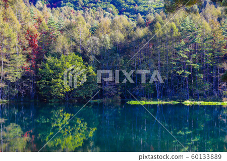 [Nagano Prefecture] Mikaka Pond in Autumn 60133889
